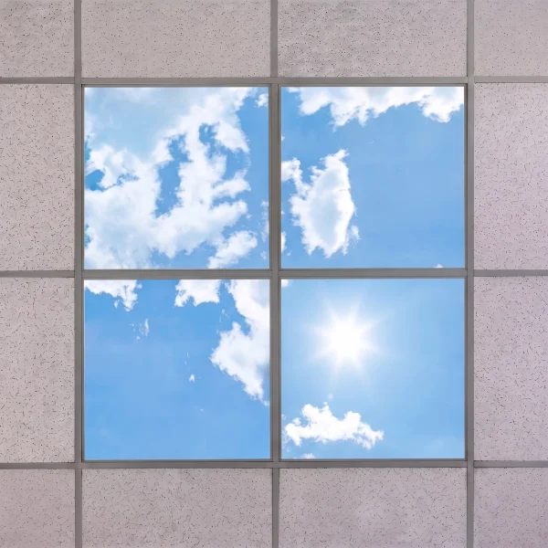 2D Sky Panel 4Piece Set ( 2 Year Manu. Warranty)