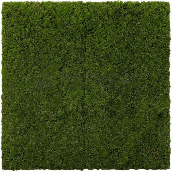 Dense Dark Green Grass Artificial Wall Panel 100x100cm | Compact Turf Style