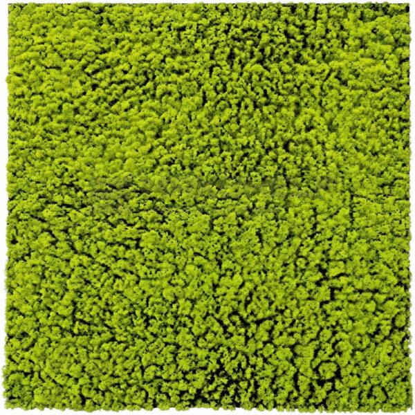 Flat Dense Light Green Artificial Grass Wall Panel 100x100cm | Bright Turf Finish