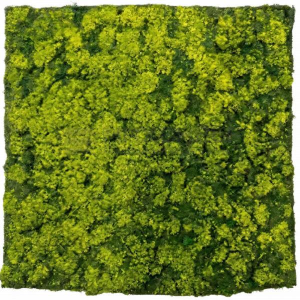 Two-Tone Grass Cluster Artificial Green Wall Panel 100x100cm | Light & Dark Mix