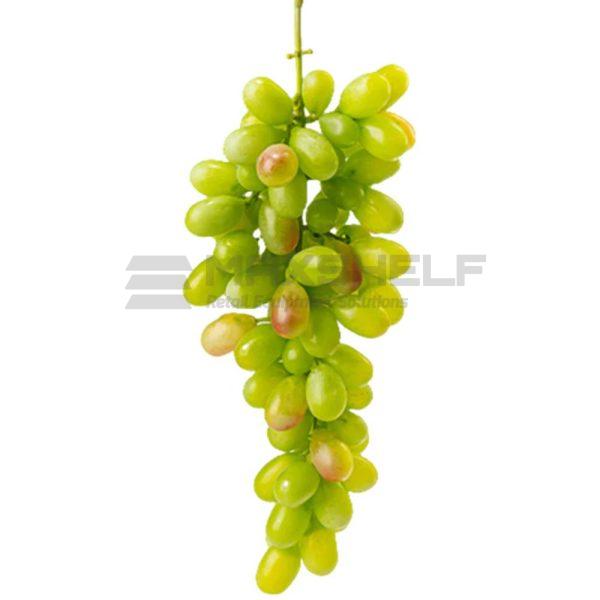 Artificial Fruits – Green Grapes